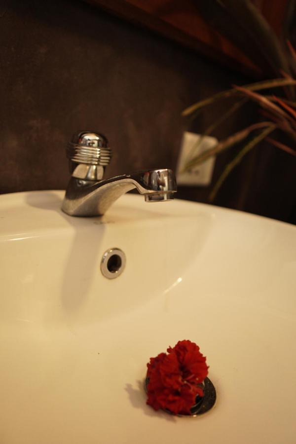 Hotel Surf Nest Hiriketiya Dickwella Zewnętrze zdjęcie