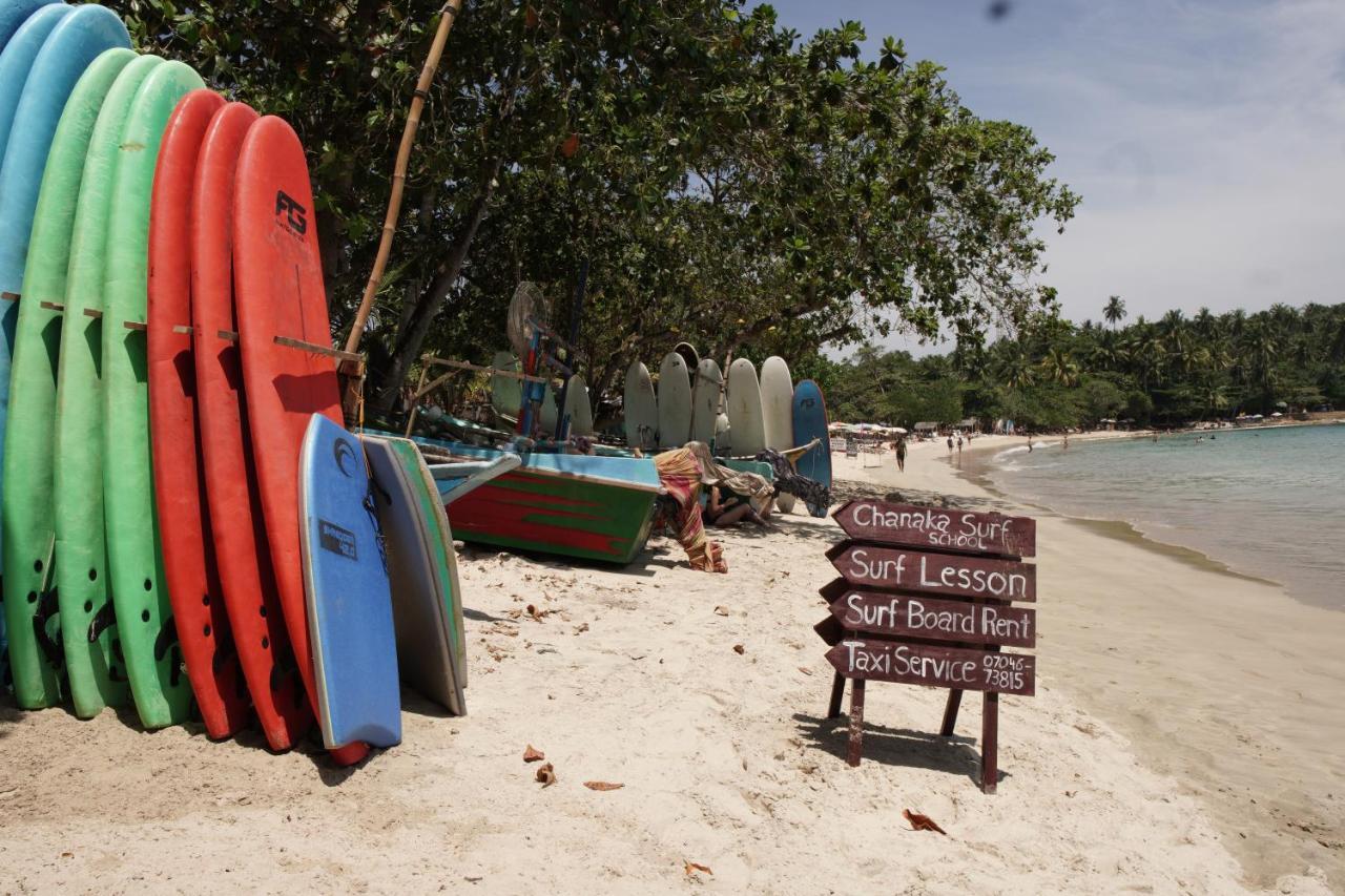 Hotel Surf Nest Hiriketiya Dickwella Zewnętrze zdjęcie